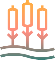Coastal Wetlands Icon