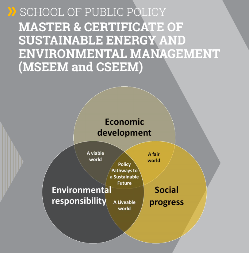 First page of the MSEEM/CSEEM brochure.